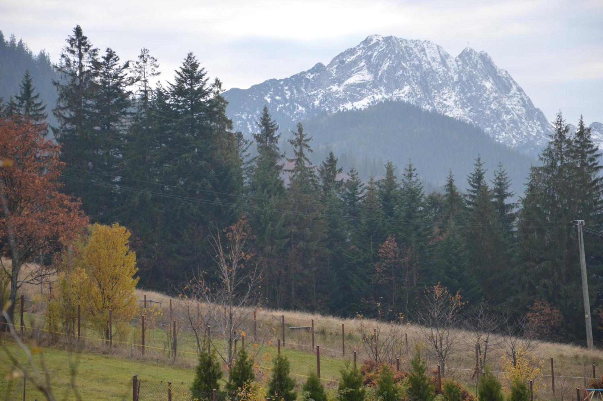 Msc Apartments Honeymoon Zakopane Pokoj fotografie