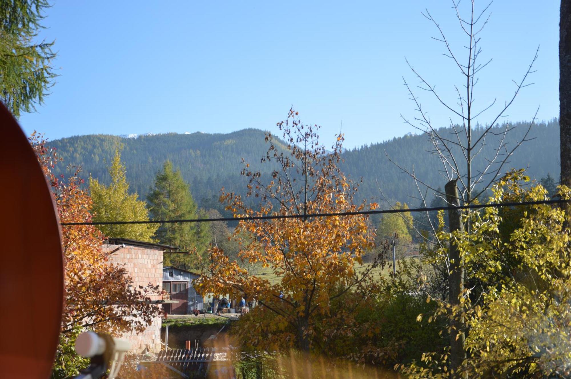 Msc Apartments Honeymoon Zakopane Pokoj fotografie