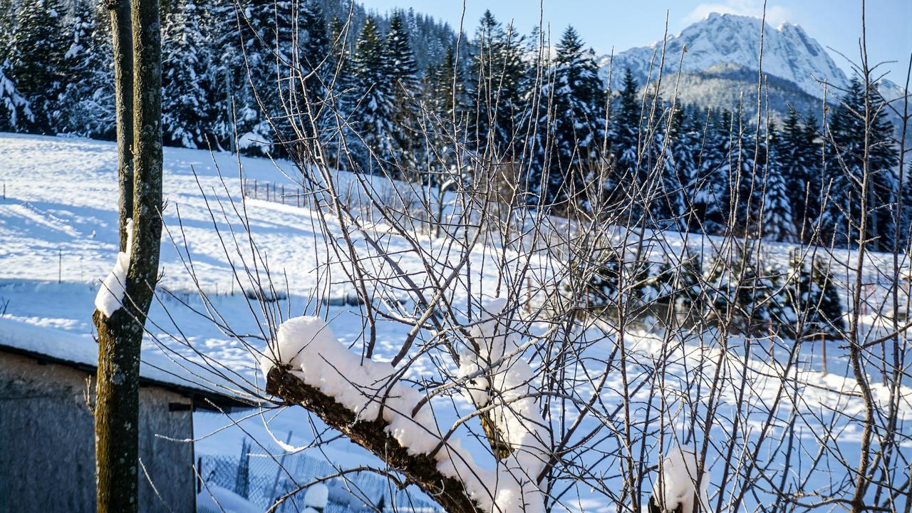 Msc Apartments Honeymoon Zakopane Exteriér fotografie