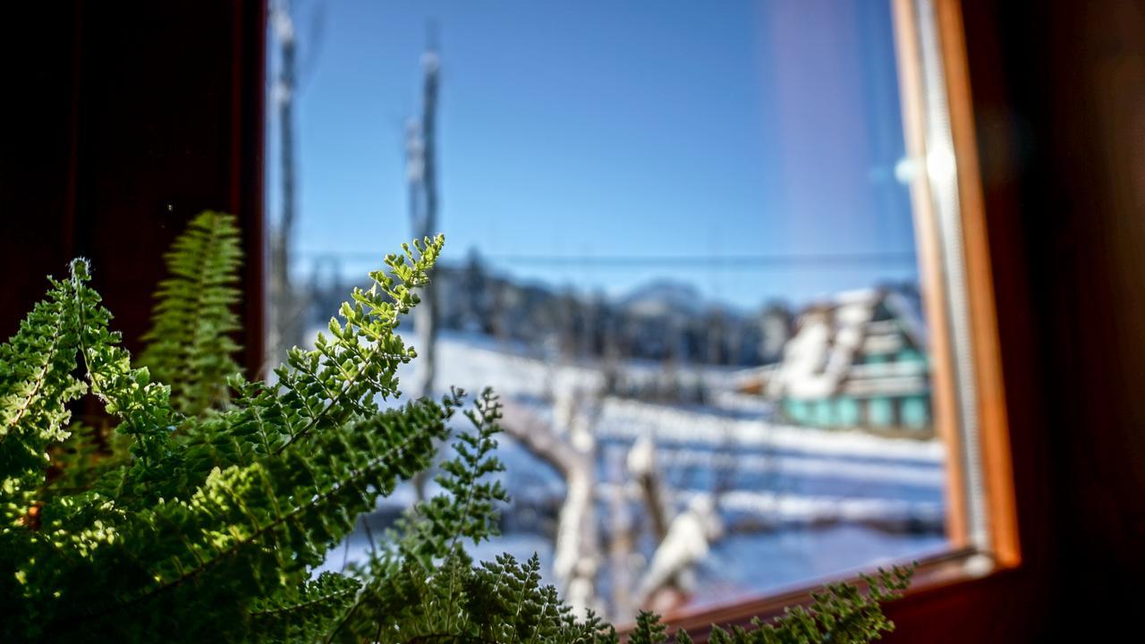 Msc Apartments Honeymoon Zakopane Exteriér fotografie