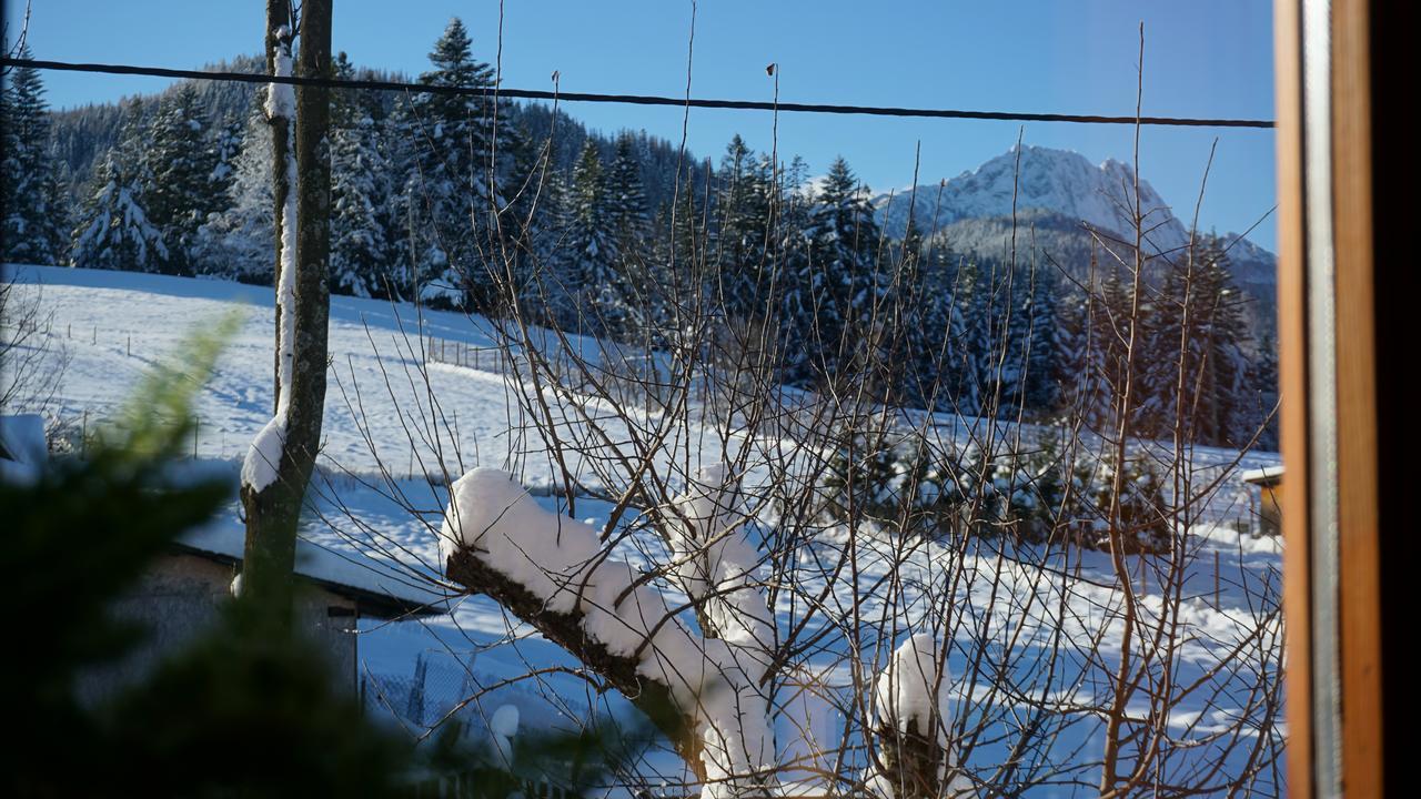 Msc Apartments Honeymoon Zakopane Exteriér fotografie