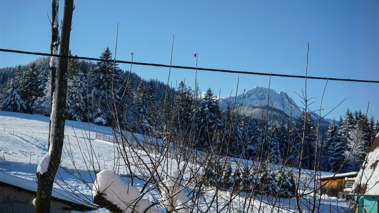 Msc Apartments Honeymoon Zakopane Exteriér fotografie